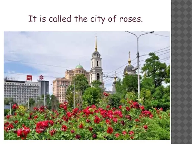 It is called the city of roses.
