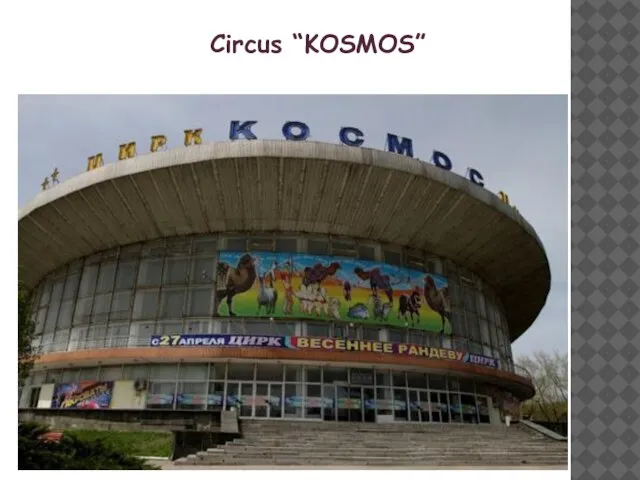 Circus “KOSMOS”