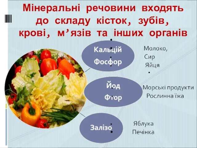 Мінеральні речовини входять до складу кісток, зубів, крові, м’язів та інших органів