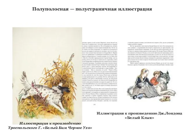 Полуполосная — полустраничная иллюстрация Иллюстрация к произведению Троепольского Г. «Белый Бим Черное