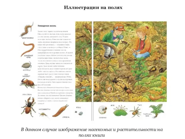 Иллюстрации на полях В данном случае изображение насекомых и растительности на полях книги