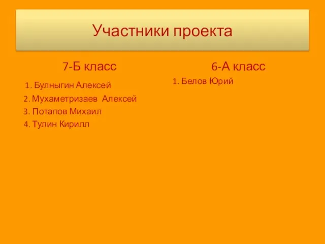 Участники проекта 7-Б класс 1. Булныгин Алексей 2. Мухаметризаев Алексей 3. Потапов