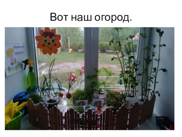 Вот наш огород.