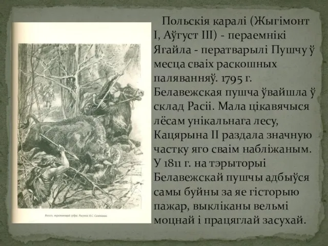 Польскія каралі (Жыгімонт I, Аўгуст III) - пераемнікі Ягайла - ператварылі Пушчу