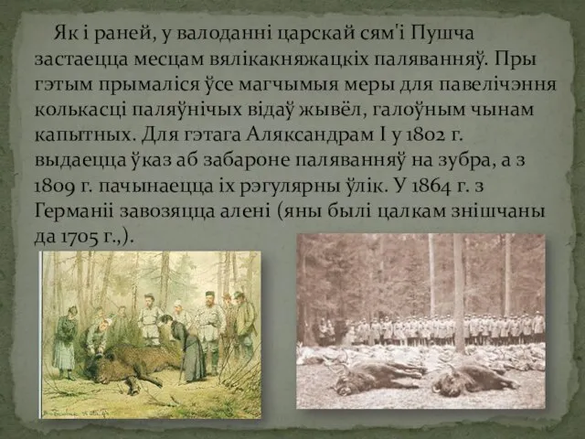 Як і раней, у валоданні царскай сям'і Пушча застаецца месцам вялікакняжацкіх паляванняў.