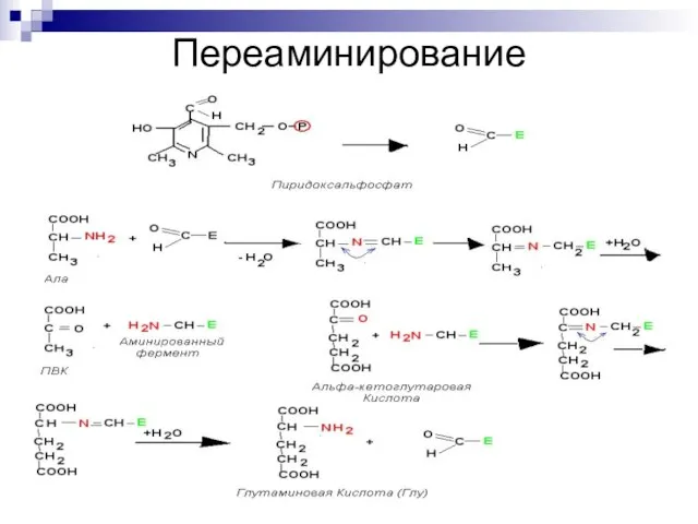 Переаминирование