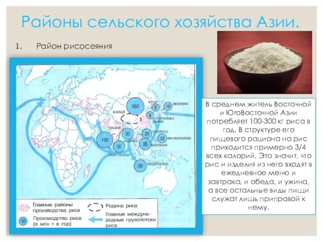 Районы сельского хозяйства Азии. Район рисосеяния В среднем житель Восточной и ЮrоВосточной