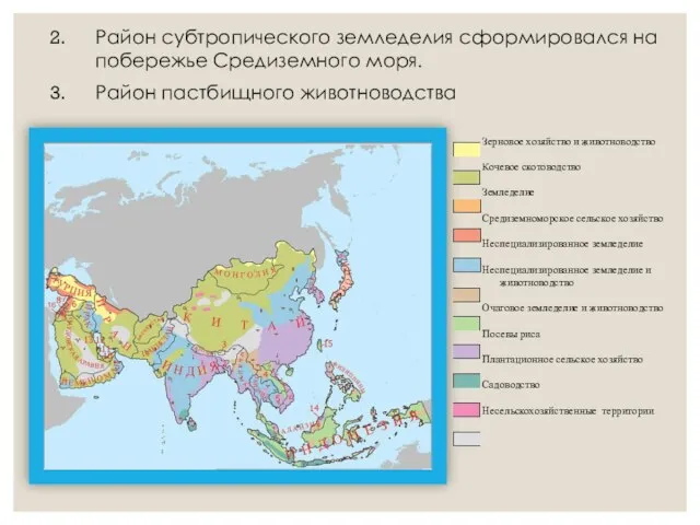 Район субтропического земледелия сформировался на побережье Средиземного моря. Район пастбищного животноводства Зерновое