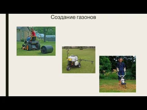 Создание газонов