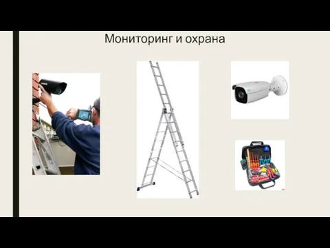 Мониторинг и охрана