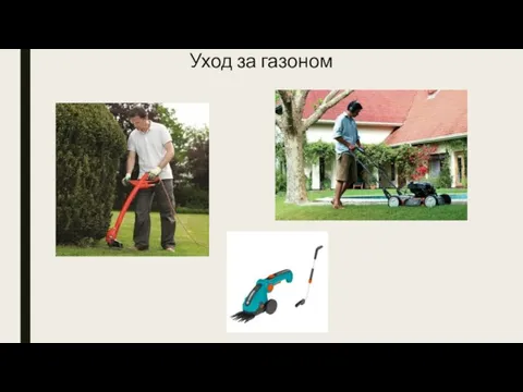 Уход за газоном