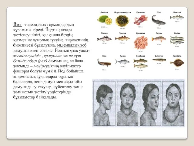 Йод - тиреоидтық гормондардың құрамына кіреді. Йодтың ағзада жетіспеушілігі, қалқанша бездің қызметіне