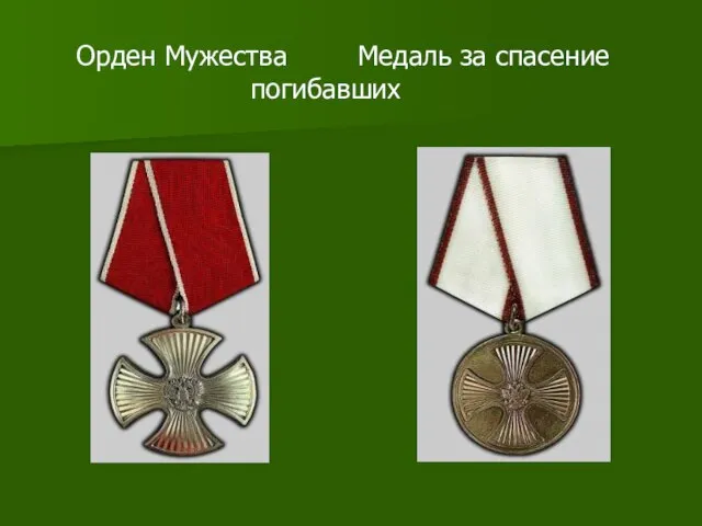 Орден Мужества Медаль за спасение погибавших