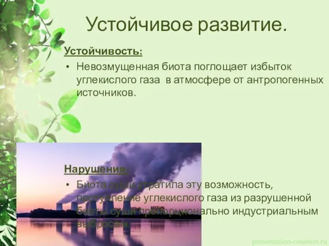 Устойчивое развитие. Устойчивость: Невозмущенная биота поглощает избыток углекислого газа в атмосфере от