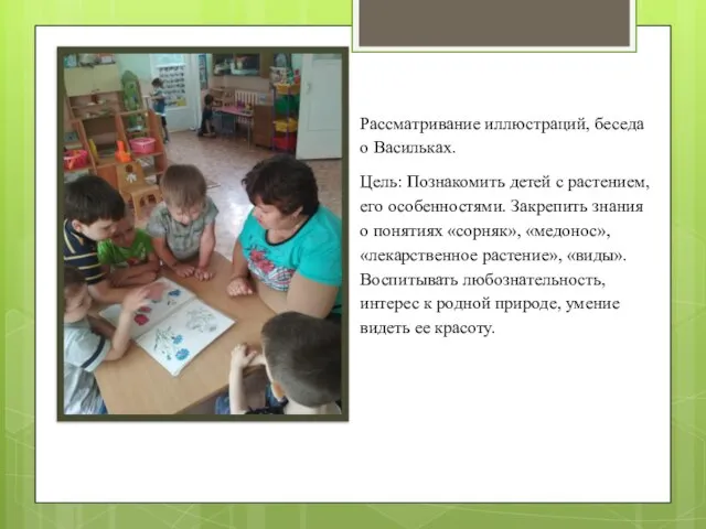 Рассматривание иллюстраций, беседа о Васильках. Цель: Познакомить детей с растением, его особенностями.