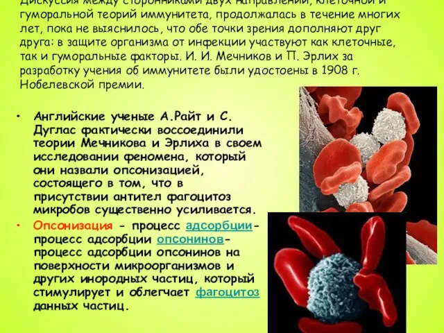 Дискуссия между сторонниками двух направлений, клеточной и гуморальной теорий иммунитета, продолжалась в