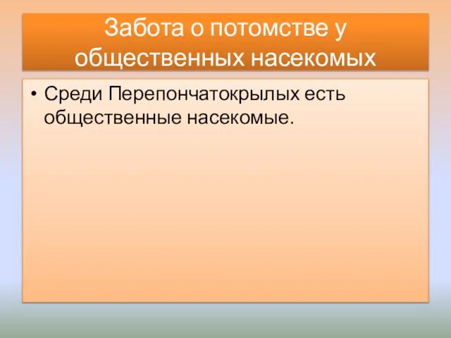 Забота о потомстве у общественных насекомых Среди Перепончатокрылых есть общественные насекомые.