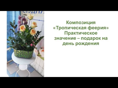 Композиция «Тропическая феерия» Практическое значение – подарок на день рождения