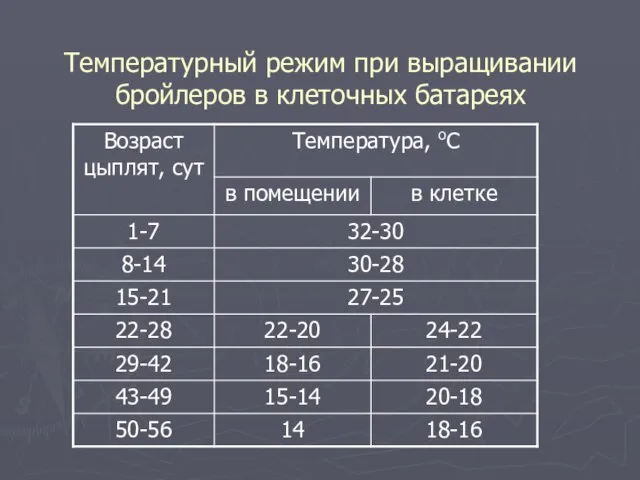 Температурный режим при выращивании бройлеров в клеточных батареях