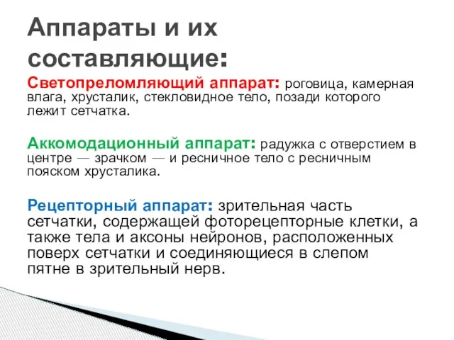 Светопреломляющий аппарат: роговица, камерная влага, хрусталик, стекловидное тело, позади которого лежит сетчатка.