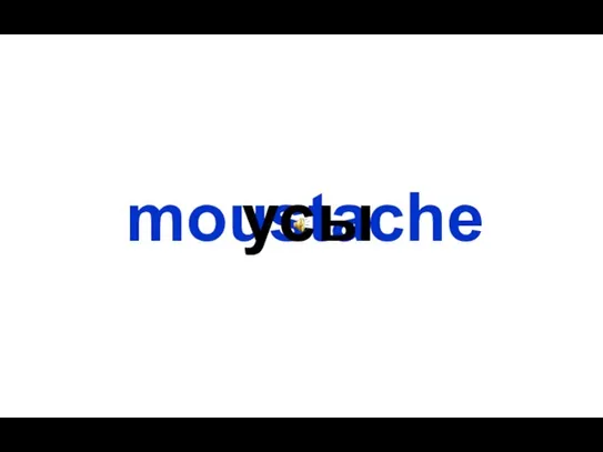 moustache усы