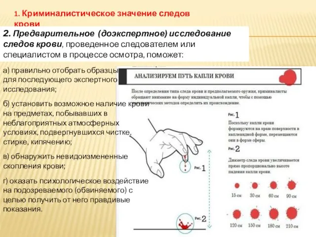 1. Криминалистическое значение следов крови 2. Предварительное (доэкспертное) исследование следов крови, проведенное