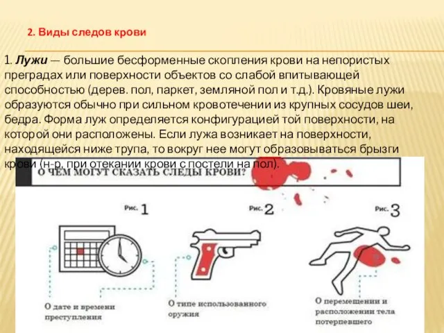 1. Лужи — большие бесформенные скопления крови на непористых преградах или поверхности