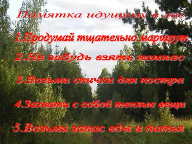 Памятка идущему в лес 1.Продумай тщательно маршрут 2.Не забудь взять компас 3.Возьми