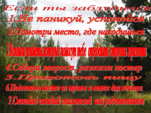 Если ты заблудился 1.Не паникуй, успокойся 3.Вспомни приметы,которые помогут тебе определить стороны