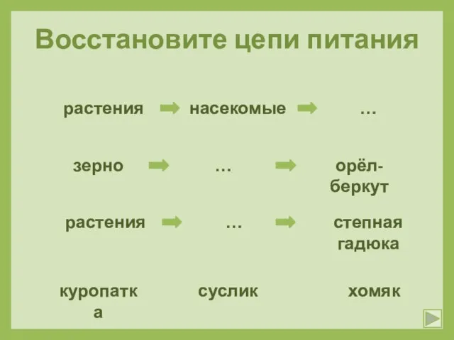 Восстановите цепи питания … степная гадюка зерно орёл-беркут … растения … насекомые куропатка суслик хомяк растения