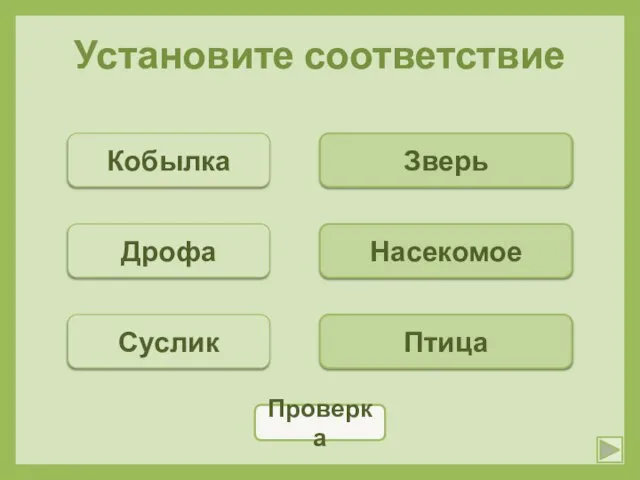 Установите соответствие Кобылка Дрофа Суслик Зверь Насекомое Птица Проверка