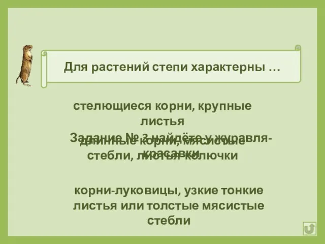 Для растений степи характерны … корни-луковицы, узкие тонкие листья или толстые мясистые