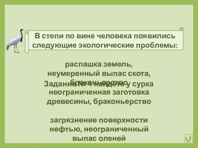 В степи по вине человека появились следующие экологические проблемы: распашка земель, неумеренный