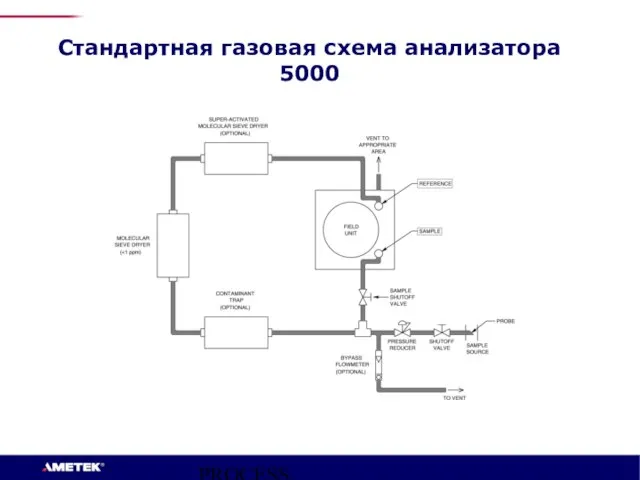 PROCESS INSTRUMENTS Стандартная газовая схема анализатора 5000