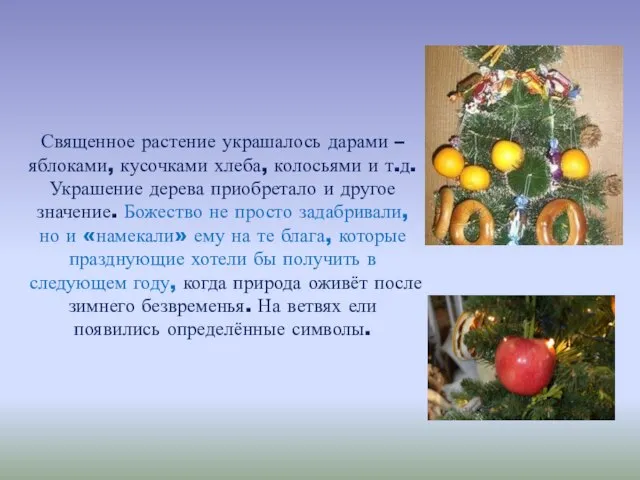 Священное растение украшалось дарами – яблоками, кусочками хлеба, колосьями и т.д. Украшение