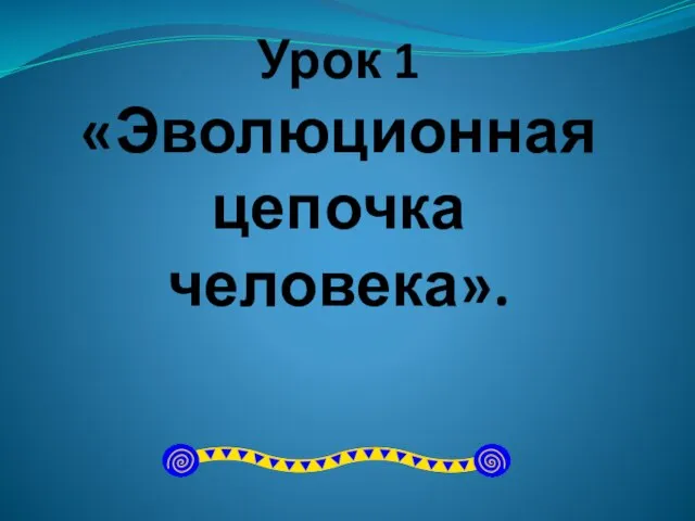 Урок 1 «Эволюционная цепочка человека».