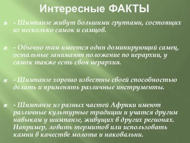 Интересные ФАКТЫ - Шимпанзе живут большими группами, состоящих из несколько самок и