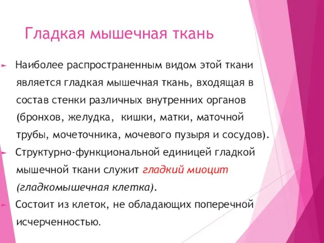 Гладкая мышечная ткань Наиболее распространенным видом этой ткани является гладкая мышечная ткань,