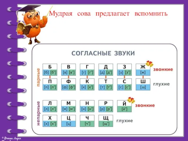 Мудрая сова предлагает вспомнить