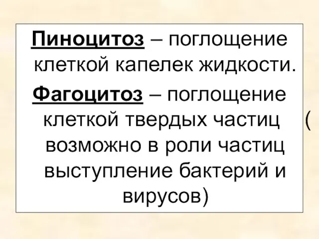 Пиноцитоз – поглощение клеткой капелек жидкости. Фагоцитоз – поглощение клеткой твердых частиц