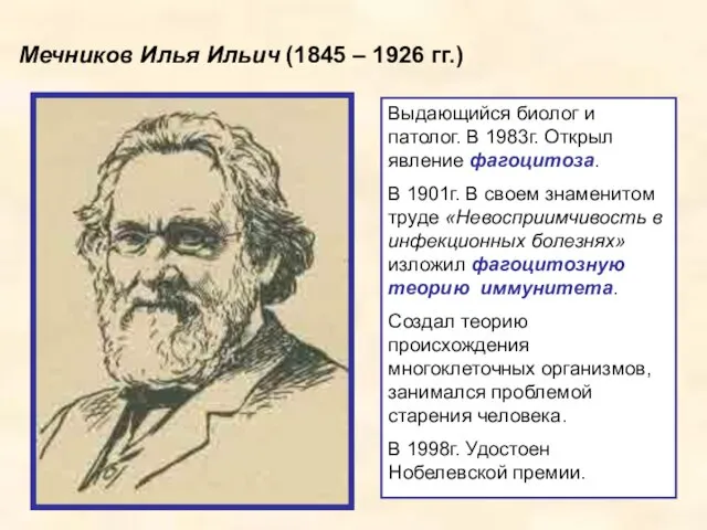 Мечников Илья Ильич (1845 – 1926 гг.) Выдающийся биолог и патолог. В