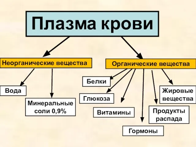 Неорганические вещества Органические вещества Вода Минеральные соли 0,9% Белки Глюкоза Витамины Гормоны