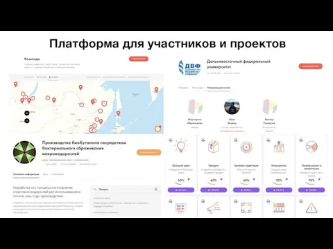 Платформа для участников и проектов