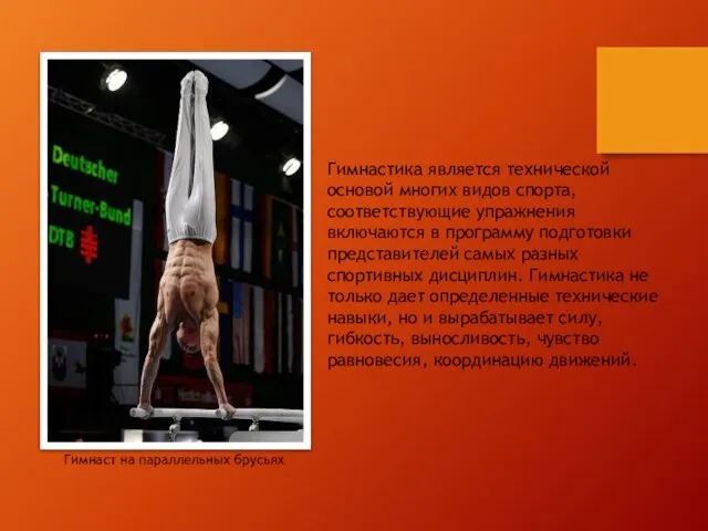 Гимнастика является технической основой многих видов спорта, соответствующие упражнения включаются в программу