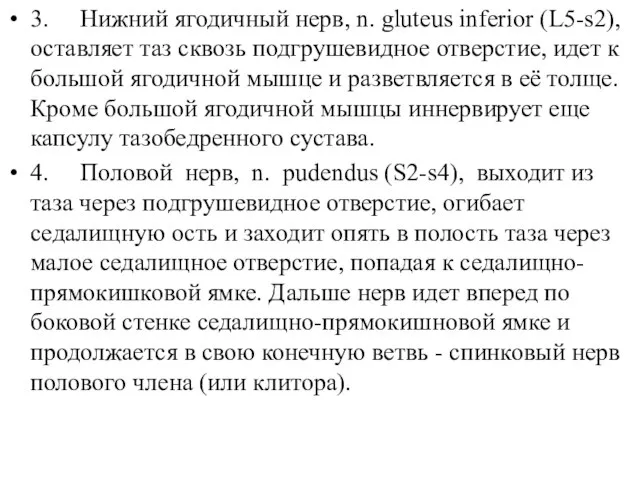 3. Нижний ягодичный нерв, n. gluteus inferior (L5-s2), оставляет таз сквозь подгрушевидное