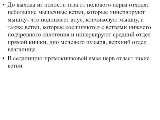 До выхода из полости таза от полового нерва отходят небольшие мышечные ветви,