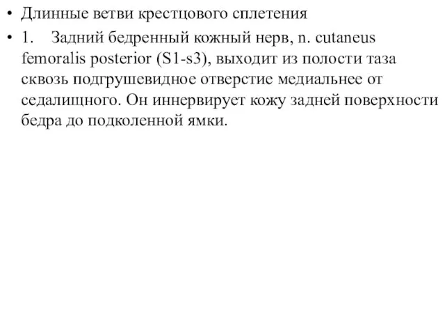 Длинные ветви крестцового сплетения 1. Задний бедренный кожный нерв, n. cutaneus femoralis