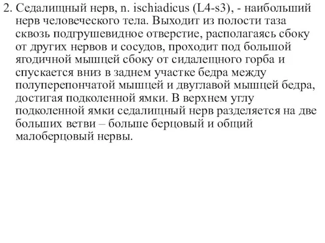 2. Седалищный нерв, n. ischiadicus (L4-s3), - наибольший нерв человеческого тела. Выходит