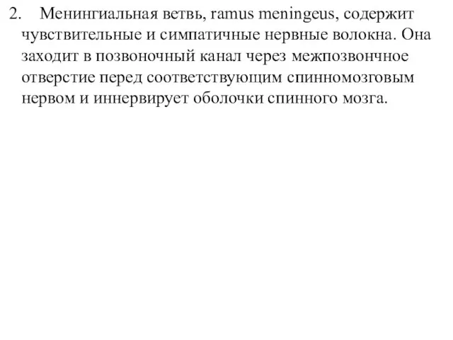 2. Менингиальная ветвь, ramus meningeus, содержит чувствительные и симпатичные нервные волокна. Она