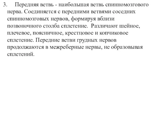 3. Передняя ветвь - наибольшая ветвь спинномозгового нерва. Соединяется с передними ветвями